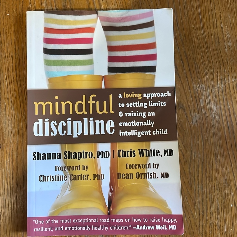 Mindful discipline by Shauna Shapiro PhD